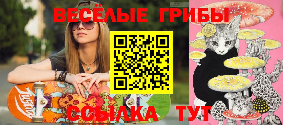магазин    Псилоцибиновые грибы ЛСД  Вход с VPN  Димитровград 